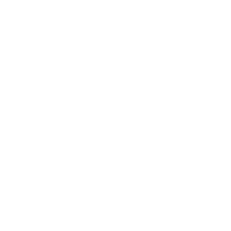 customer centric approach