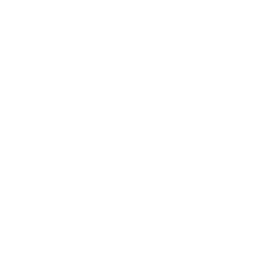 fast delivery icon