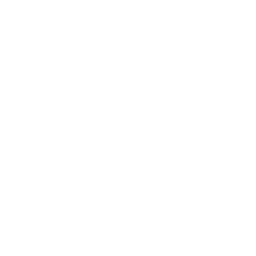 power only white icon